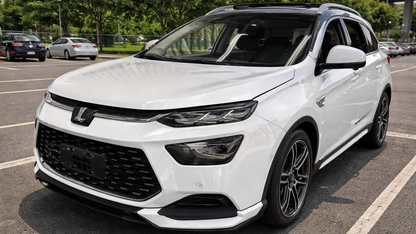 2020 Luxgen 納智捷 URX