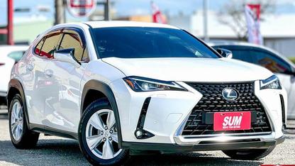 2019 Lexus 凌志 UX